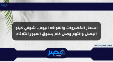 أسعار الخضروات والفواكه اليوم.. شوفى كيلو البصل والثوم وصل كام بسوق العبور الثلاثاء